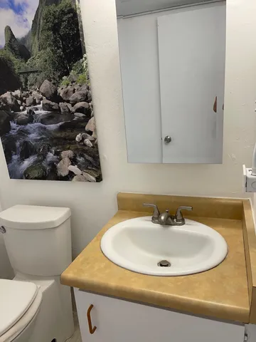 a bathroom with a sink and mirror with toilet