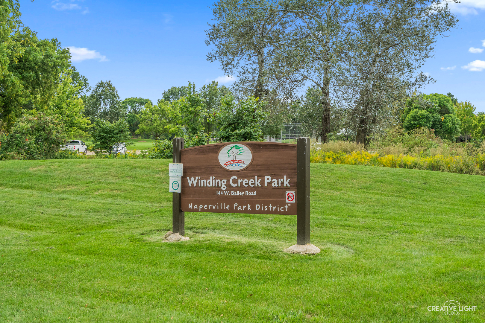 1644 Riparian Drive Naperville, IL 60565 - Photo 64 of 66