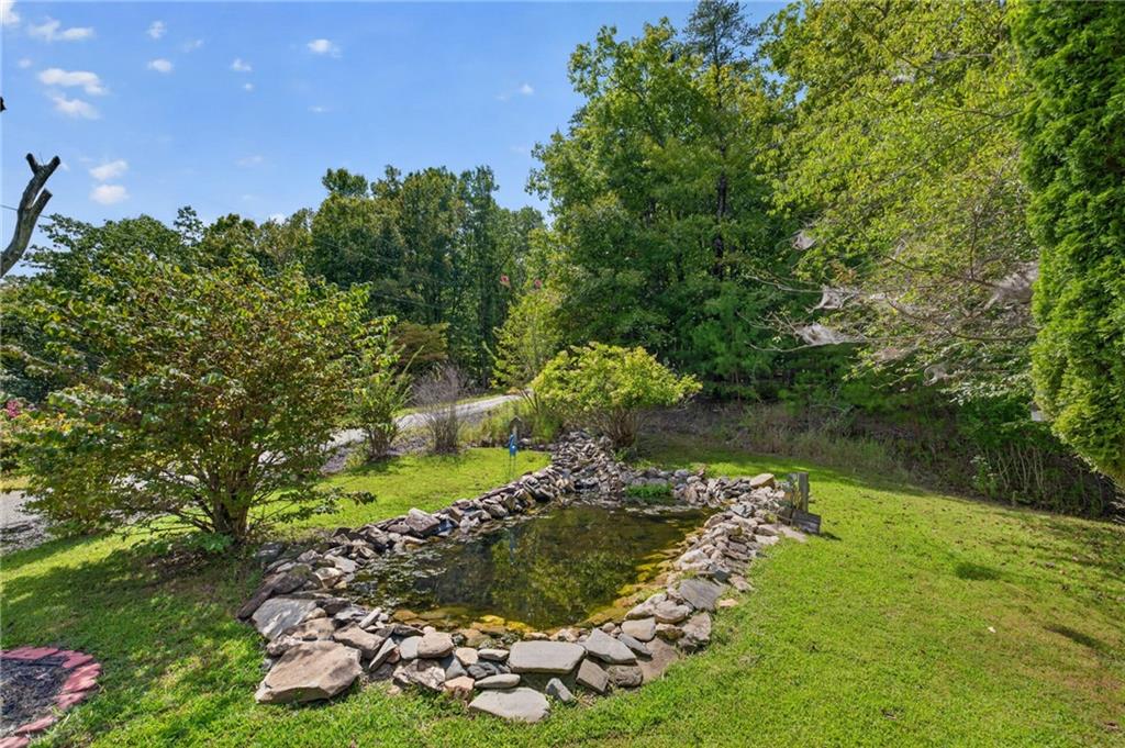 982 Raccoon Ridge Northeast Ranger, GA 30734 - Photo 3 of 61 Gallery Image 3
