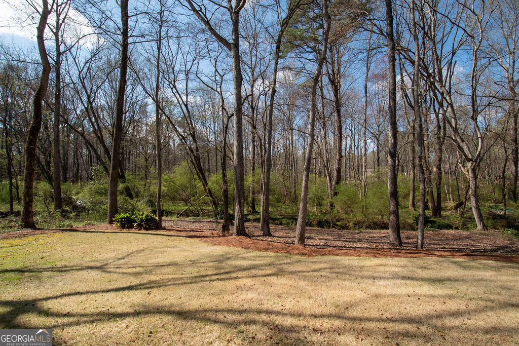 100 Spring Forest Trail Sharpsburg, GA 30277 - Photo 35 of 39 a view of road with trees