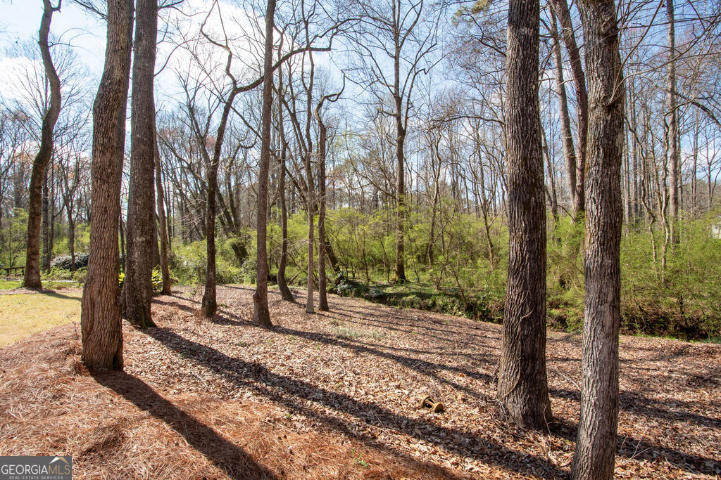 100 Spring Forest Trail Sharpsburg, GA 30277 - Photo 36 of 39 a view of a yard with trees