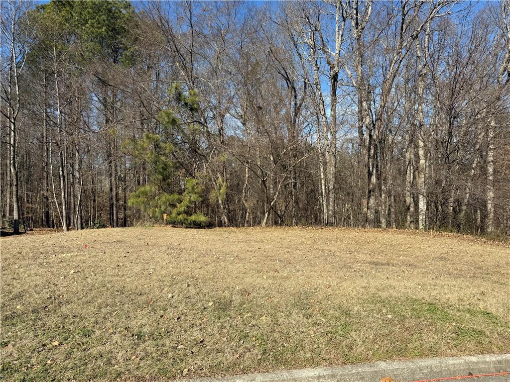 3104 Brooksong Way Dacula, GA 30019 - Photo 3 of 7 a view of empty field with trees