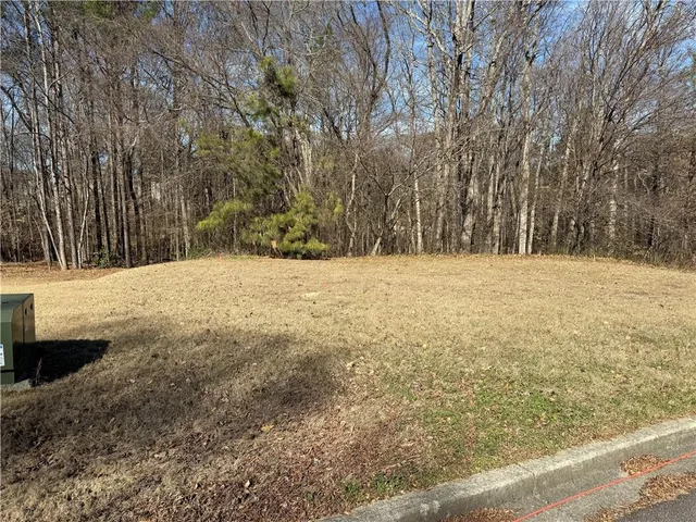 a view of yard covered with snow