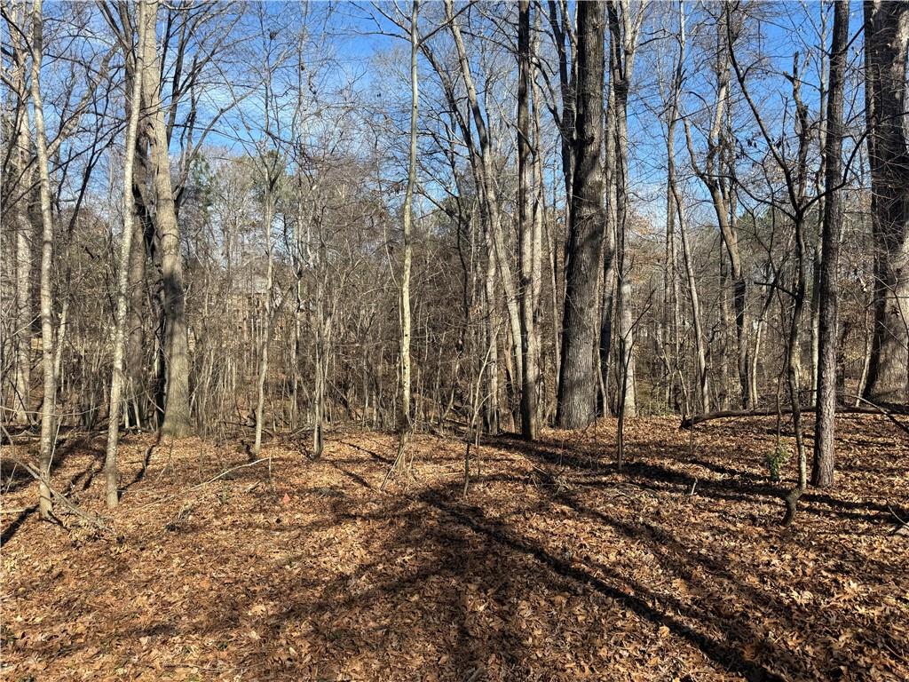 3104 Brooksong Way Dacula, GA 30019 - Photo 6 of 7 a view of a backyard with trees