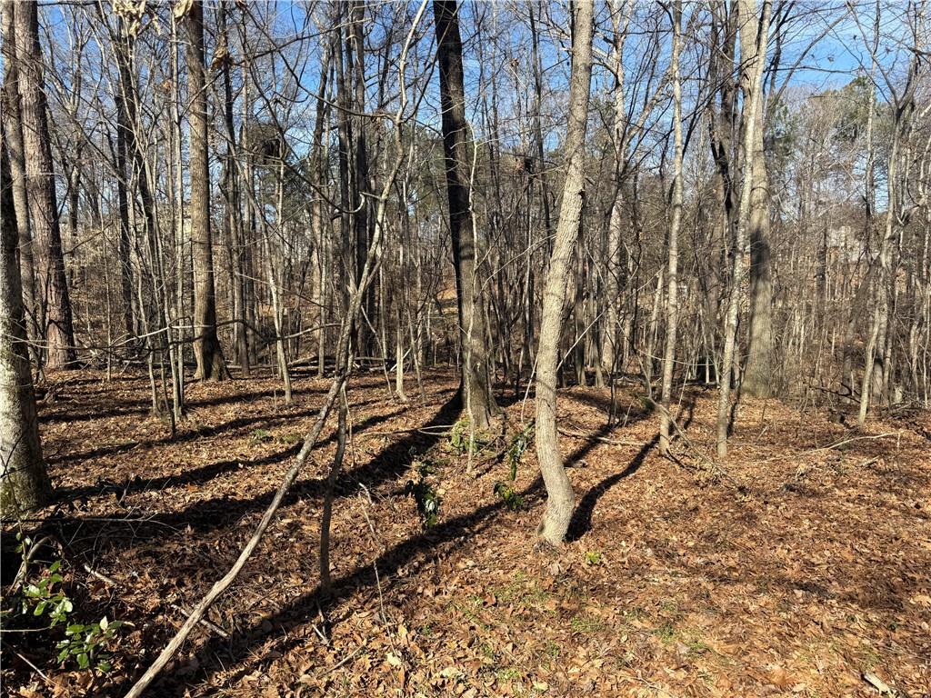 3104 Brooksong Way Dacula, GA 30019 - Photo 7 of 7 a view of a yard with wooden fence