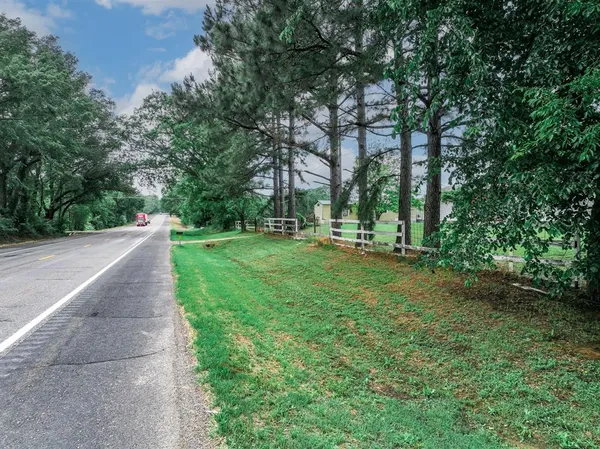 a view of a lush green forest with lots of trees