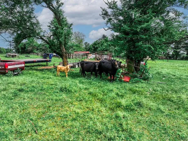 a view of backyard with table and chairs and potted plants