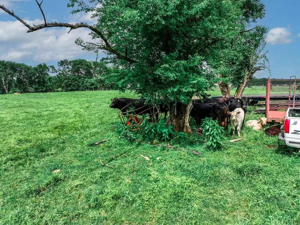 a view of a house with backyard