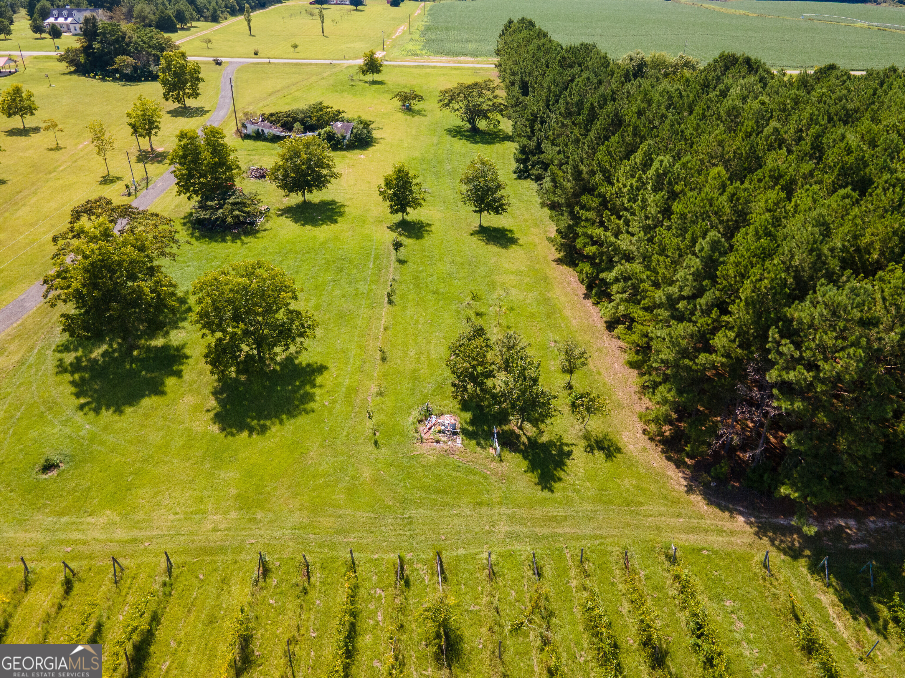 759 Pitts Road Hawkinsville, GA 31036 - Photo 3 of 8