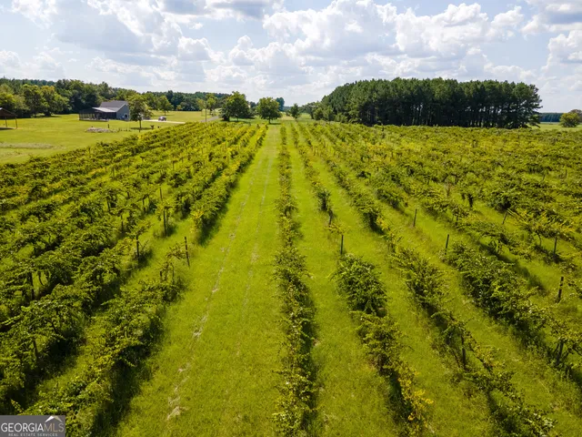 $375,000 | 759 Pitts Road, Hawkinsville, GA 31036