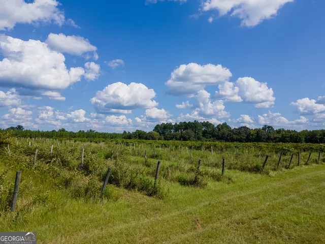 $375,000 | 759 Pitts Road, Hawkinsville, GA 31036