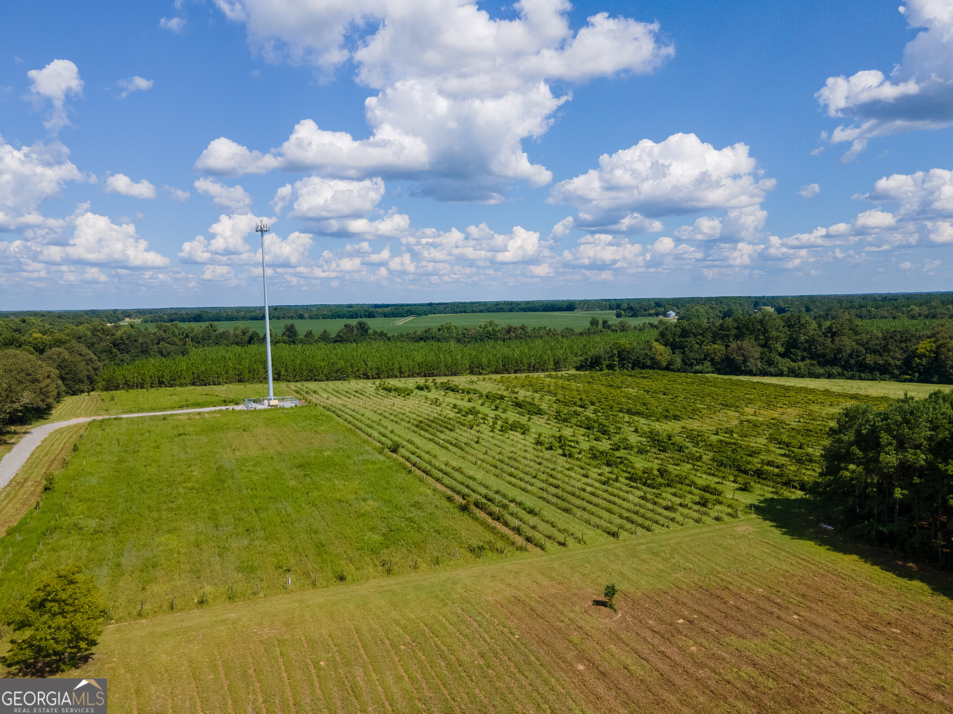 759 Pitts Road Hawkinsville, GA 31036 - Photo 6 of 8