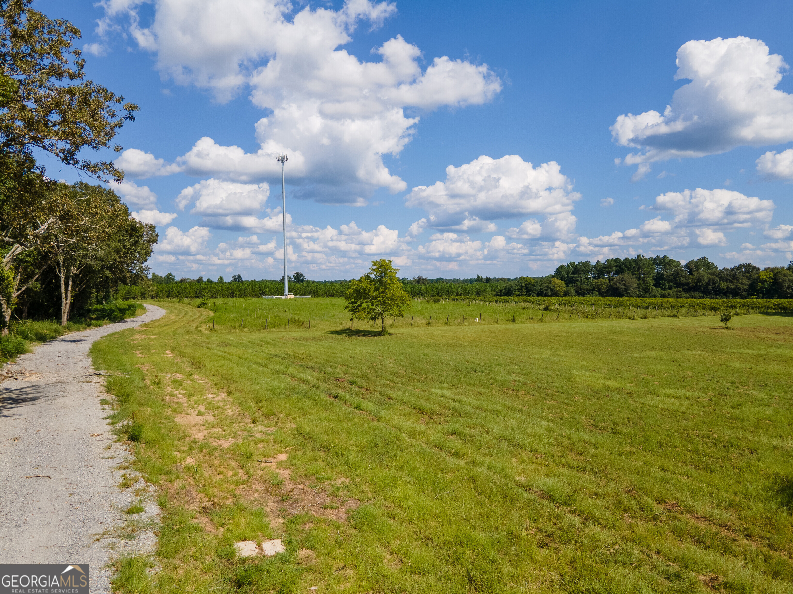 759 Pitts Road Hawkinsville, GA 31036 - Photo 7 of 8