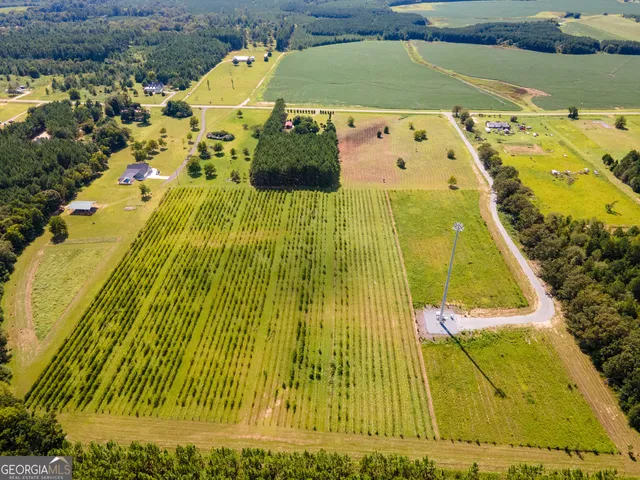 $375,000 | 759 Pitts Road, Hawkinsville, GA 31036