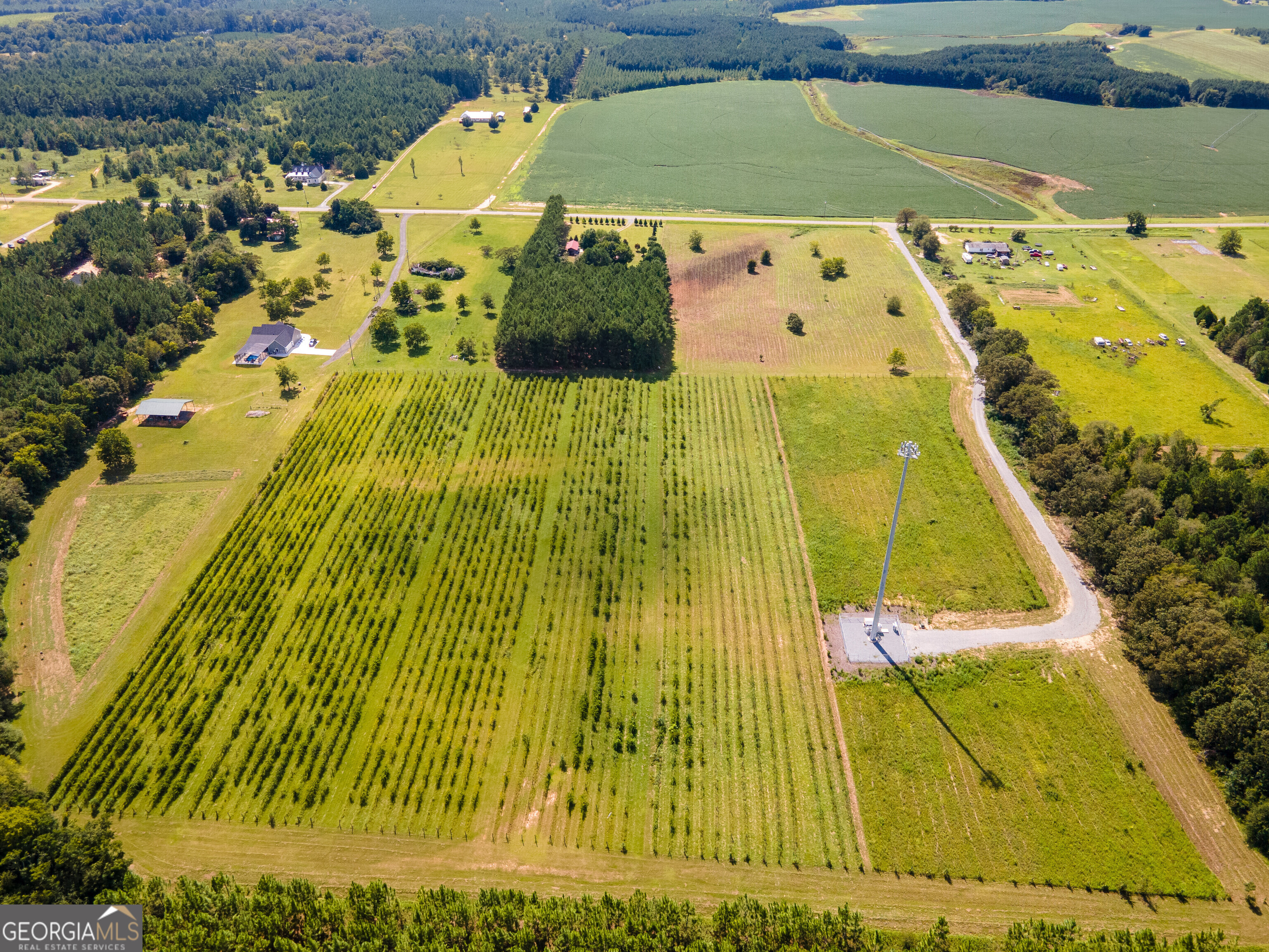 759 Pitts Road Hawkinsville, GA 31036 - Photo 8 of 8