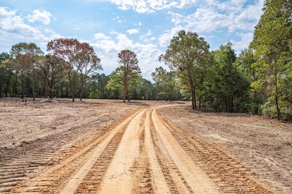 4307 Rd Larue Tx 75770 Road Larue, TX 75770 - Photo 4 of 17 Cleared land offering a natural setting with surrounding trees