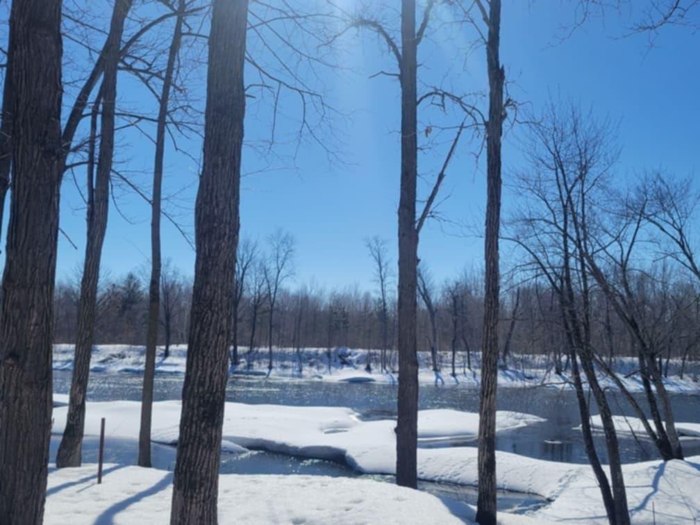 24733 Crooked River Road Pine City, MN 55063 - Photo 24 of 50