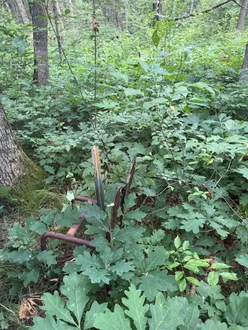 $85,000 | 6230 South Evergreen Drive, Newaygo, MI 49337