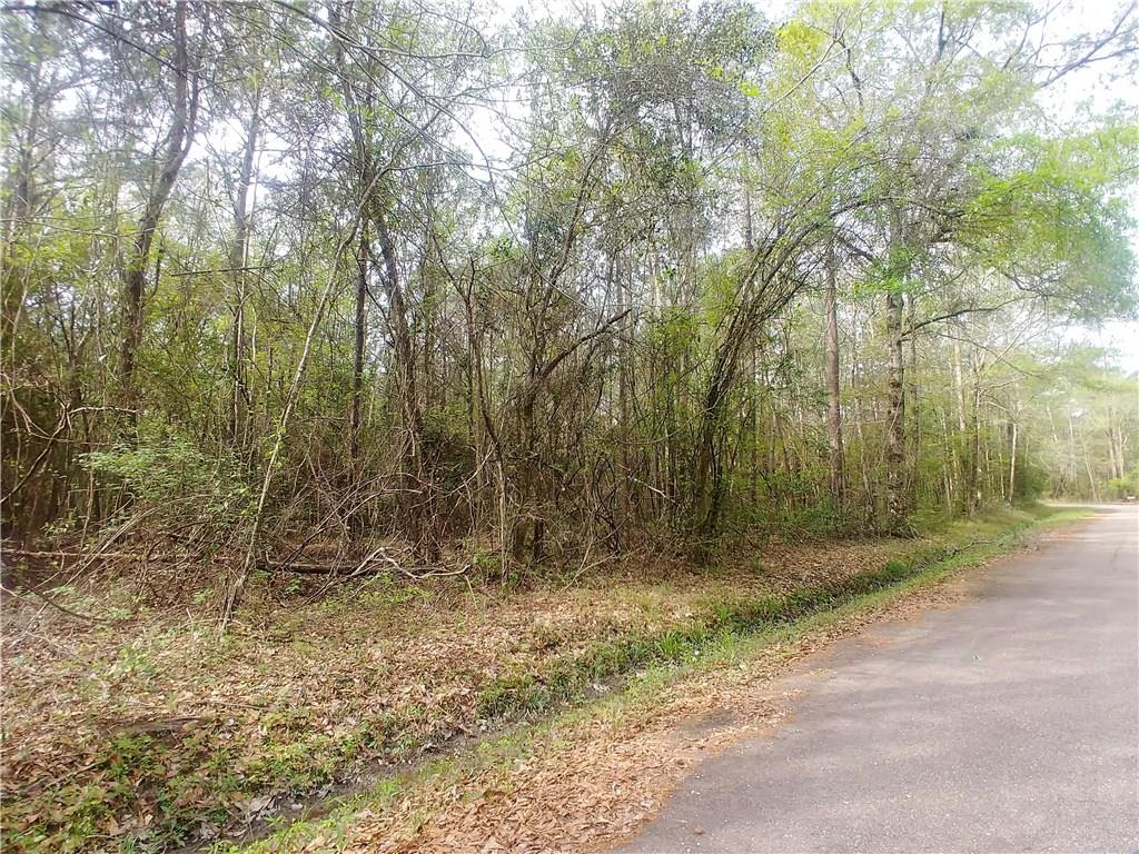 Lot B Lot B Idlewild Pines Road Slidell, LA 70460 - Photo 1 of 3 Gallery Image 1