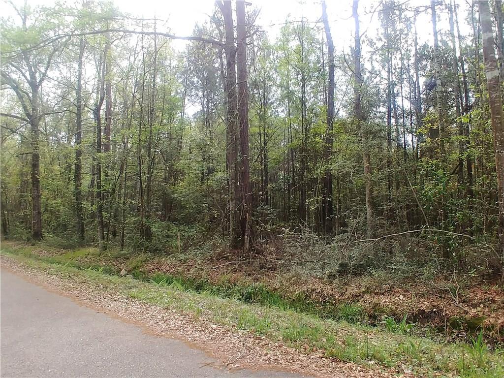 Lot B Lot B Idlewild Pines Road Slidell, LA 70460 - Photo 2 of 3 Gallery Image 2