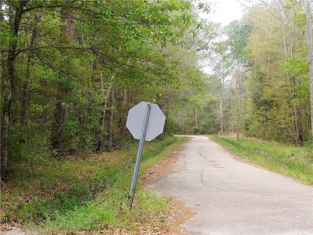 Lot B Lot B Idlewild Pines Road Slidell, LA 70460 - Photo 3 of 3 Gallery Image 3