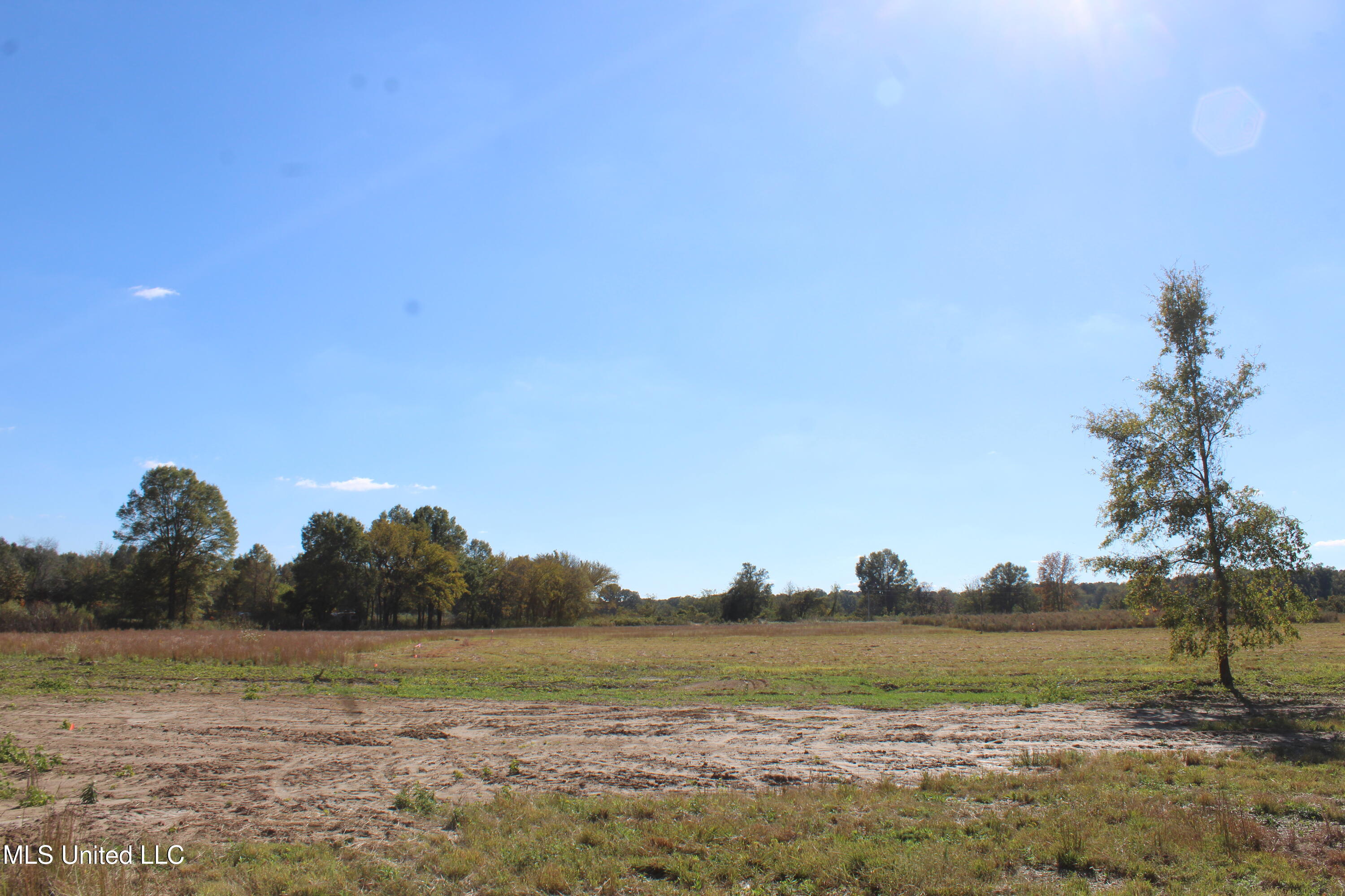 41 Pin Oak Road Michigan City, MS 38647 - Photo 2 of 22 IMG_6897