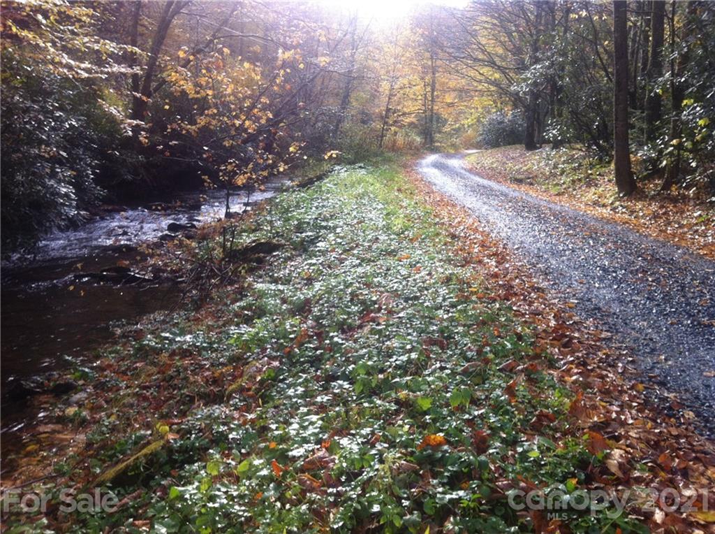 Tbd Rocky Creek Road, Unit 5357 Boone, NC 28607 - Photo 2 of 2 a view of backyard with green space