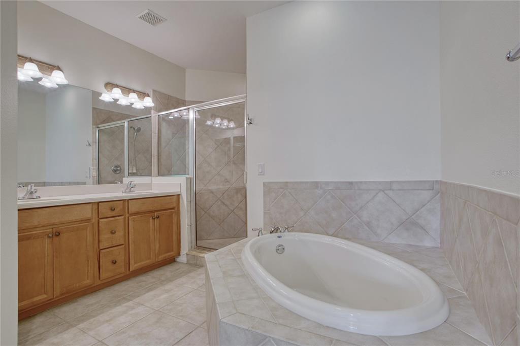 1344 Ribolla Drive Palm Harbor, FL 34683 - Photo 16 of 26 a bathroom with a tub sink and mirror