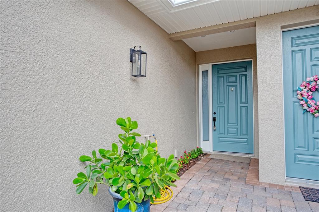 1344 Ribolla Drive Palm Harbor, FL 34683 - Photo 2 of 26