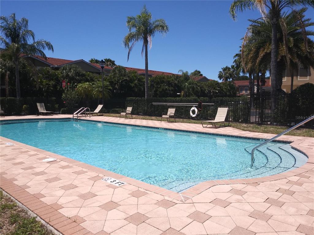 1344 Ribolla Drive Palm Harbor, FL 34683 - Photo 25 of 26 a view of a swimming pool with a garden