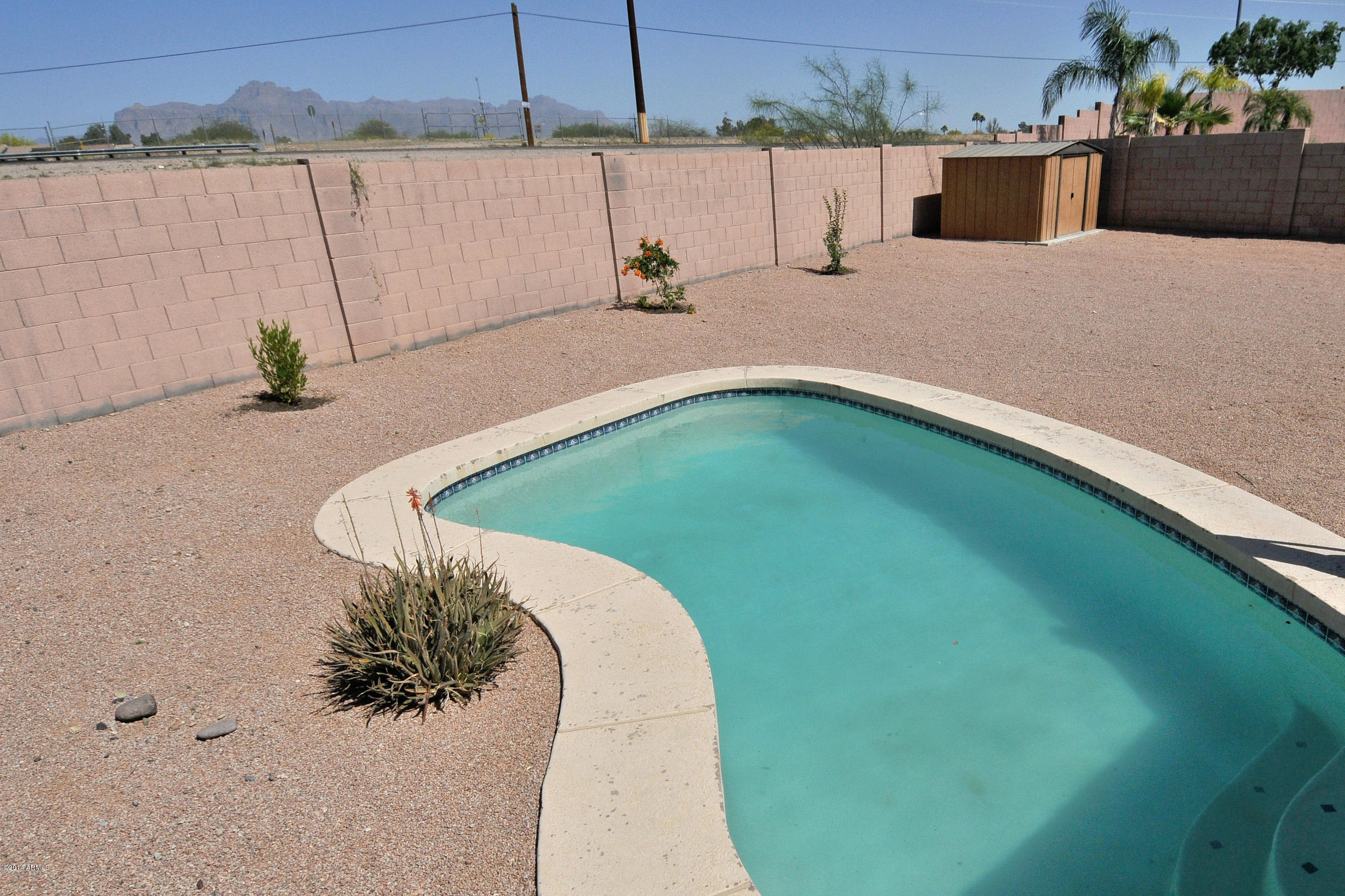 765 South Del Rancho Mesa, AZ 85208 - Photo 37 of 52 Pool