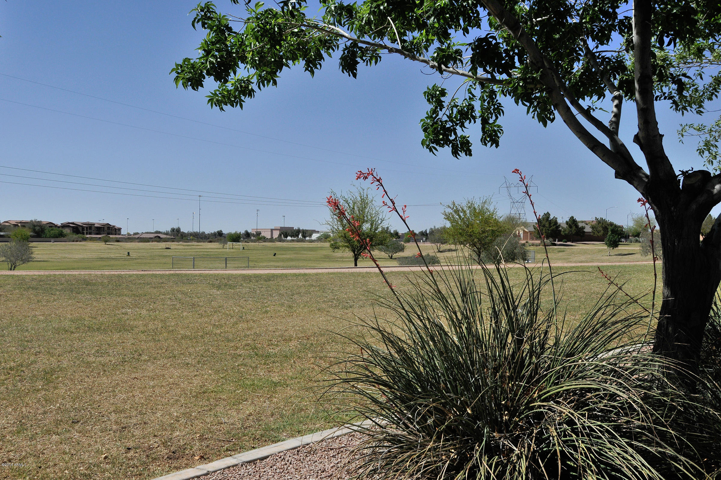 765 South Del Rancho Mesa, AZ 85208 - Photo 47 of 52 Soccer Field