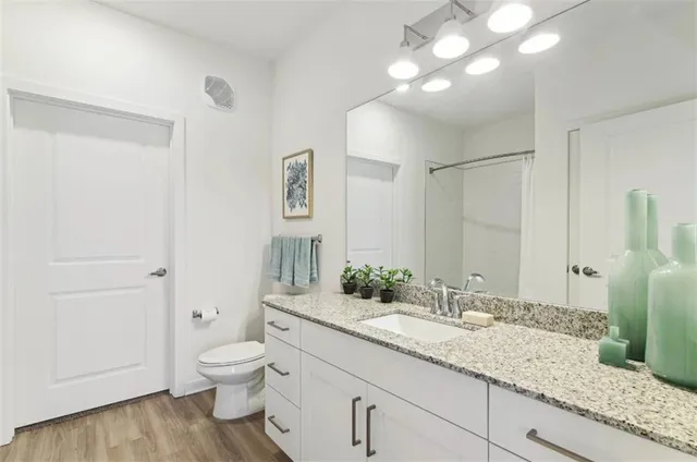 a bathroom with a granite countertop sink a toilet and a mirror