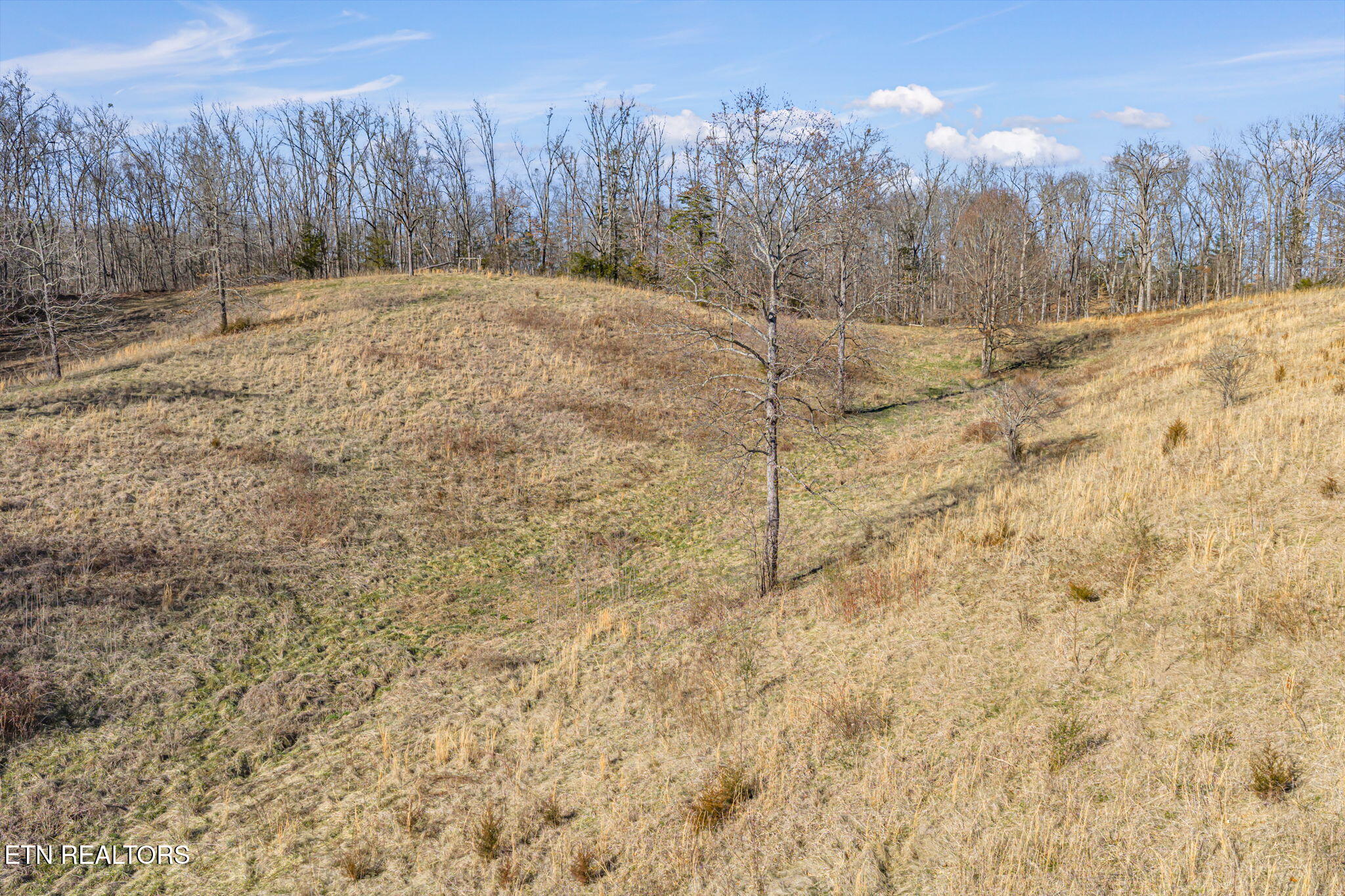 Cate Road Sevierville, TN 37862 - Photo 18 of 24 67-web-or-mls-617 Lewelling Road-67