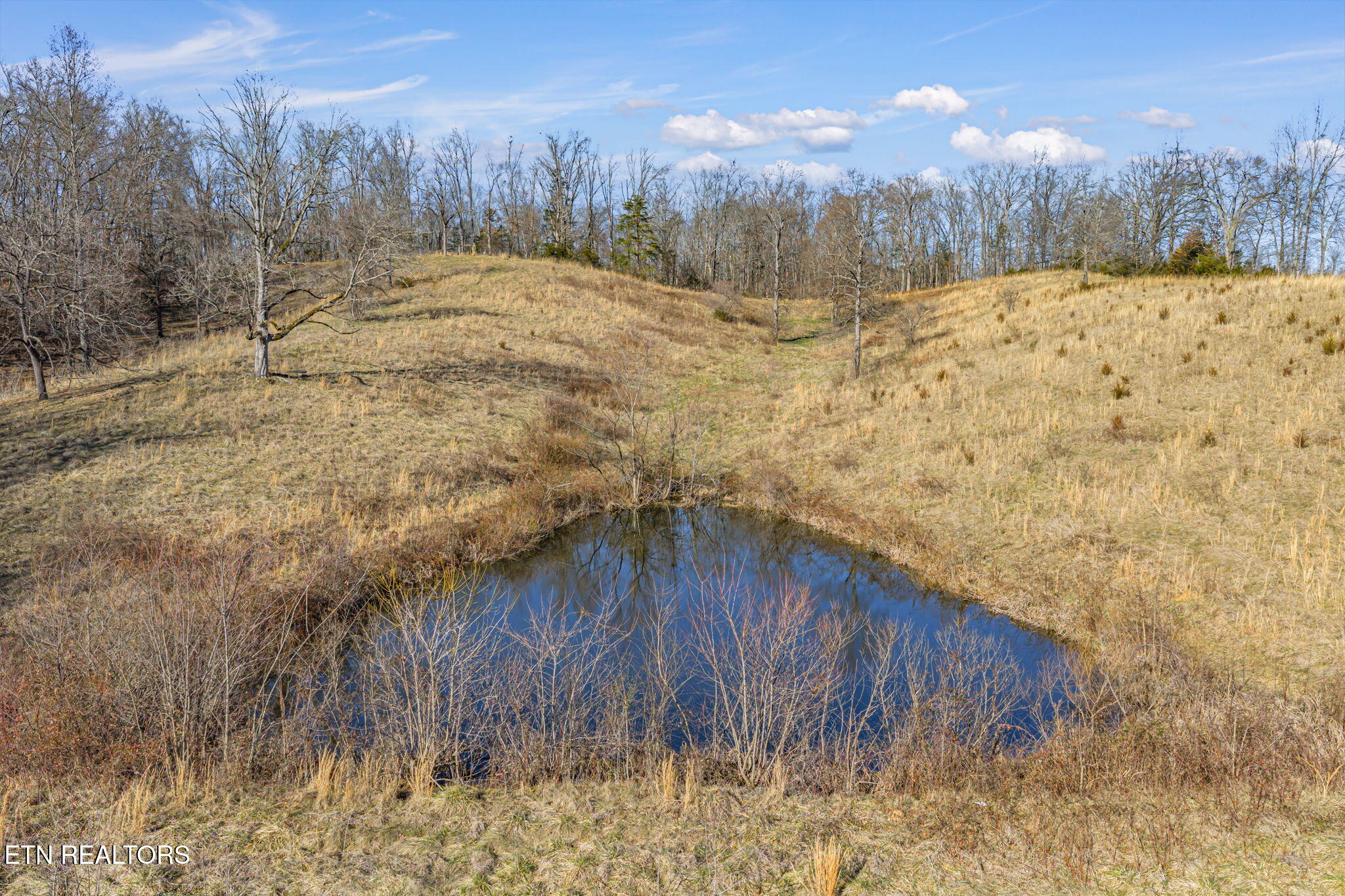 Cate Road Sevierville, TN 37862 - Photo 19 of 24 68-web-or-mls-617 Lewelling Road-68