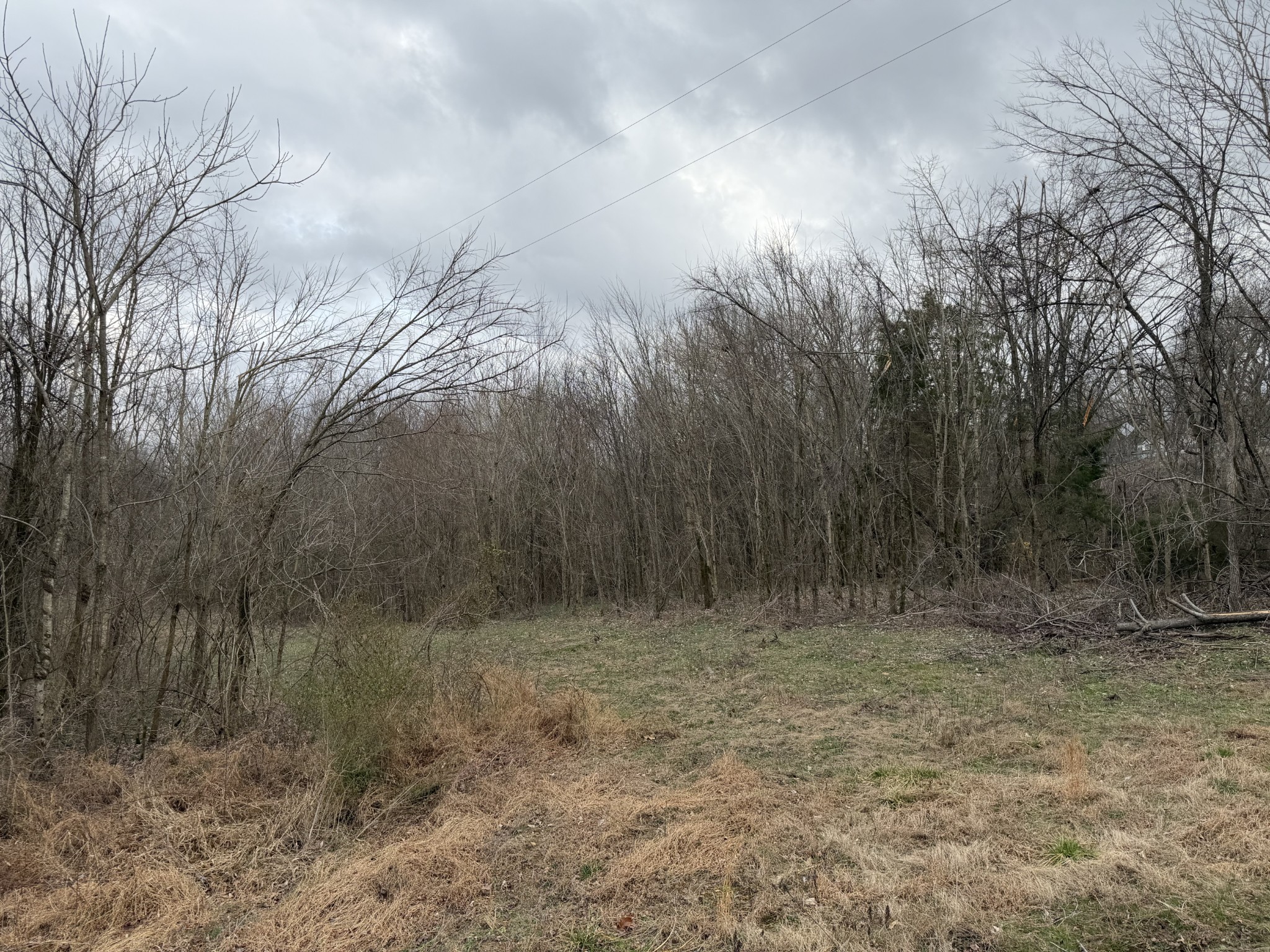 0 City Park Road Westmoreland, TN 37186 - Photo 2 of 2 a view of a dry yard