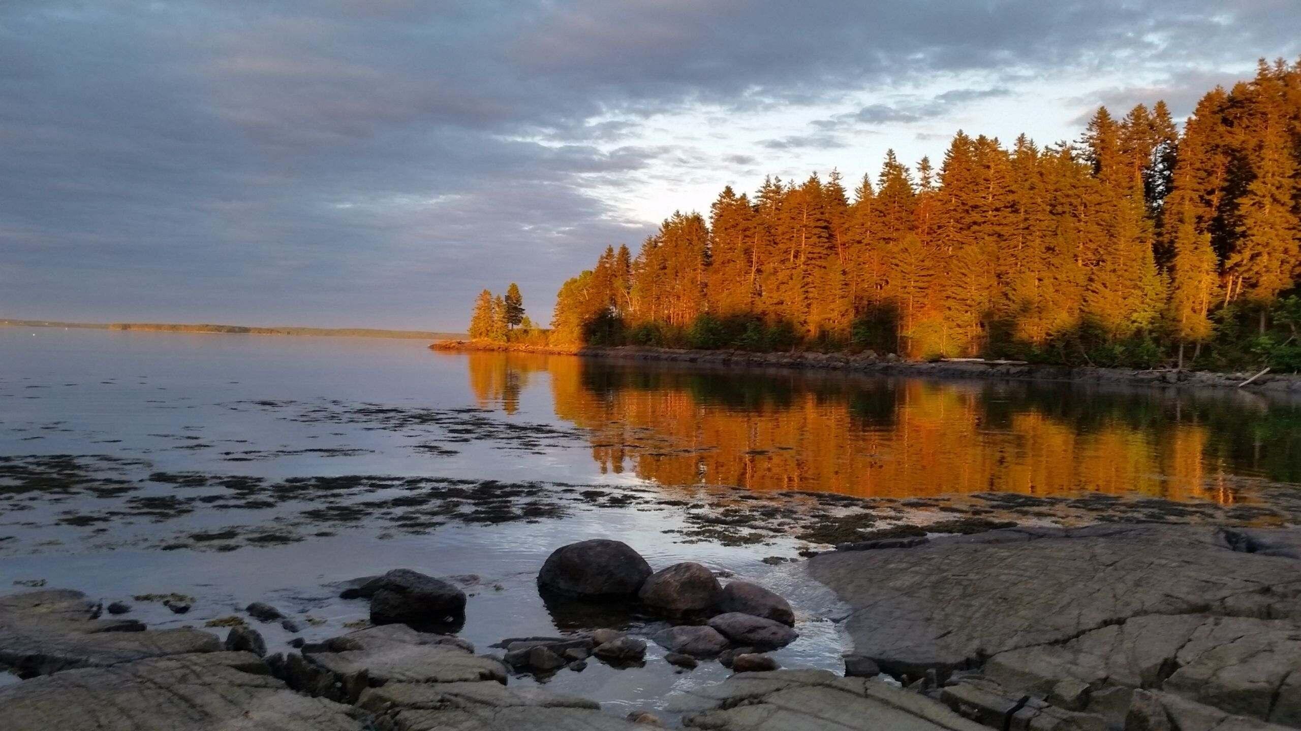 142 Clarks Point Road Machiasport, ME 04655 - Photo 106 of 106 Resized952016061695200301