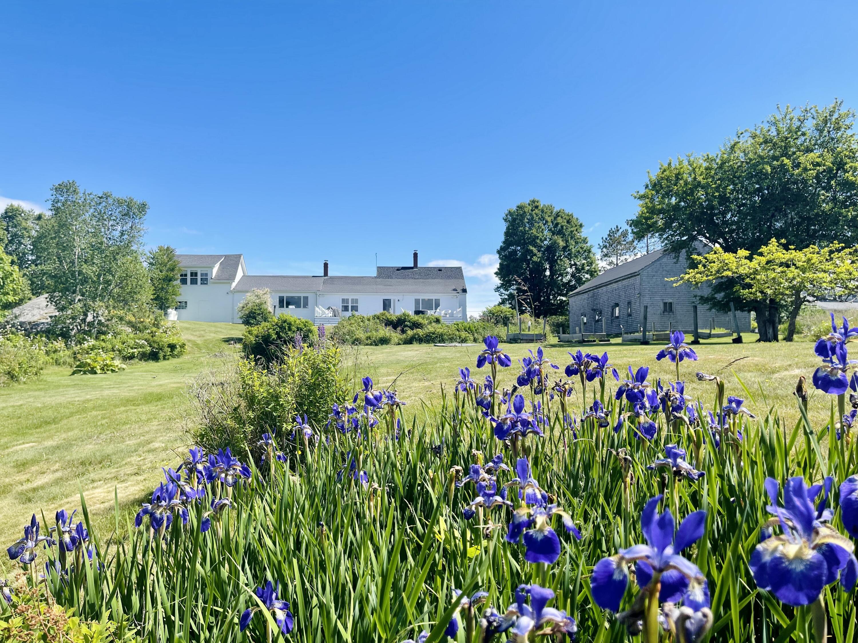 142 Clarks Point Road Machiasport, ME 04655 - Photo 49 of 106 IMG_8513