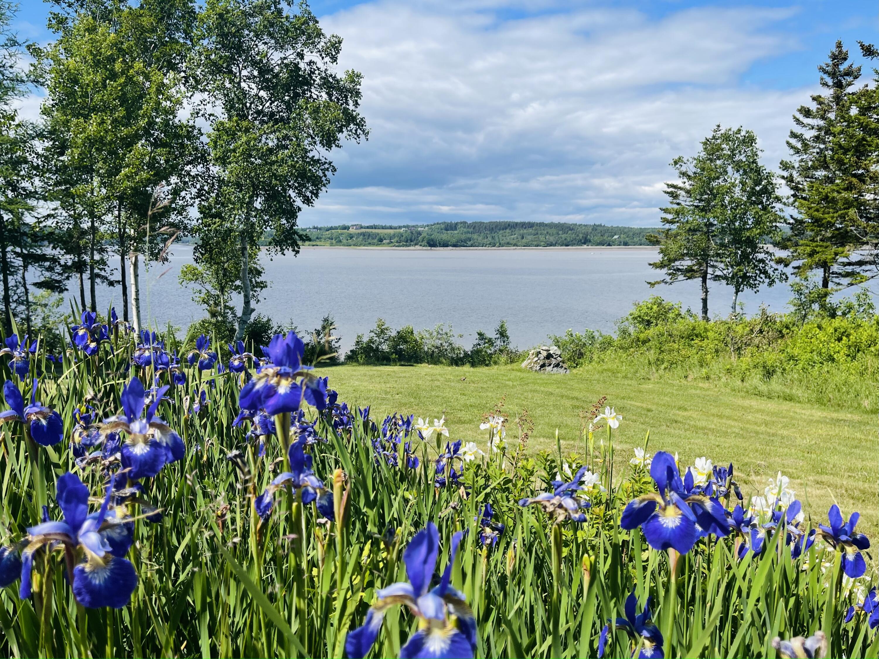 142 Clarks Point Road Machiasport, ME 04655 - Photo 50 of 106 IMG_8514