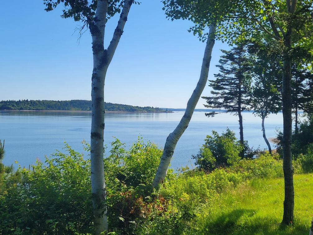 142 Clarks Point Road Machiasport, ME 04655 - Photo 99 of 106 Resized_20220629_091105