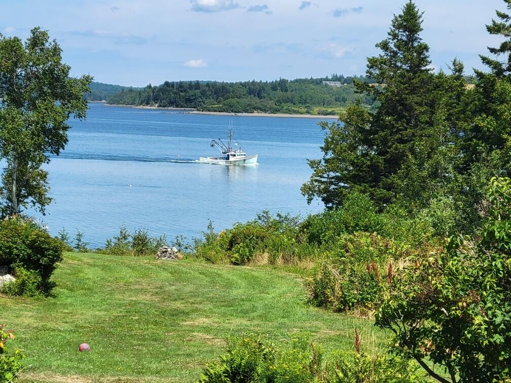 142 Clarks Point Road Machiasport, ME 04655 - Photo 100 of 106 Resized_20220801_114505