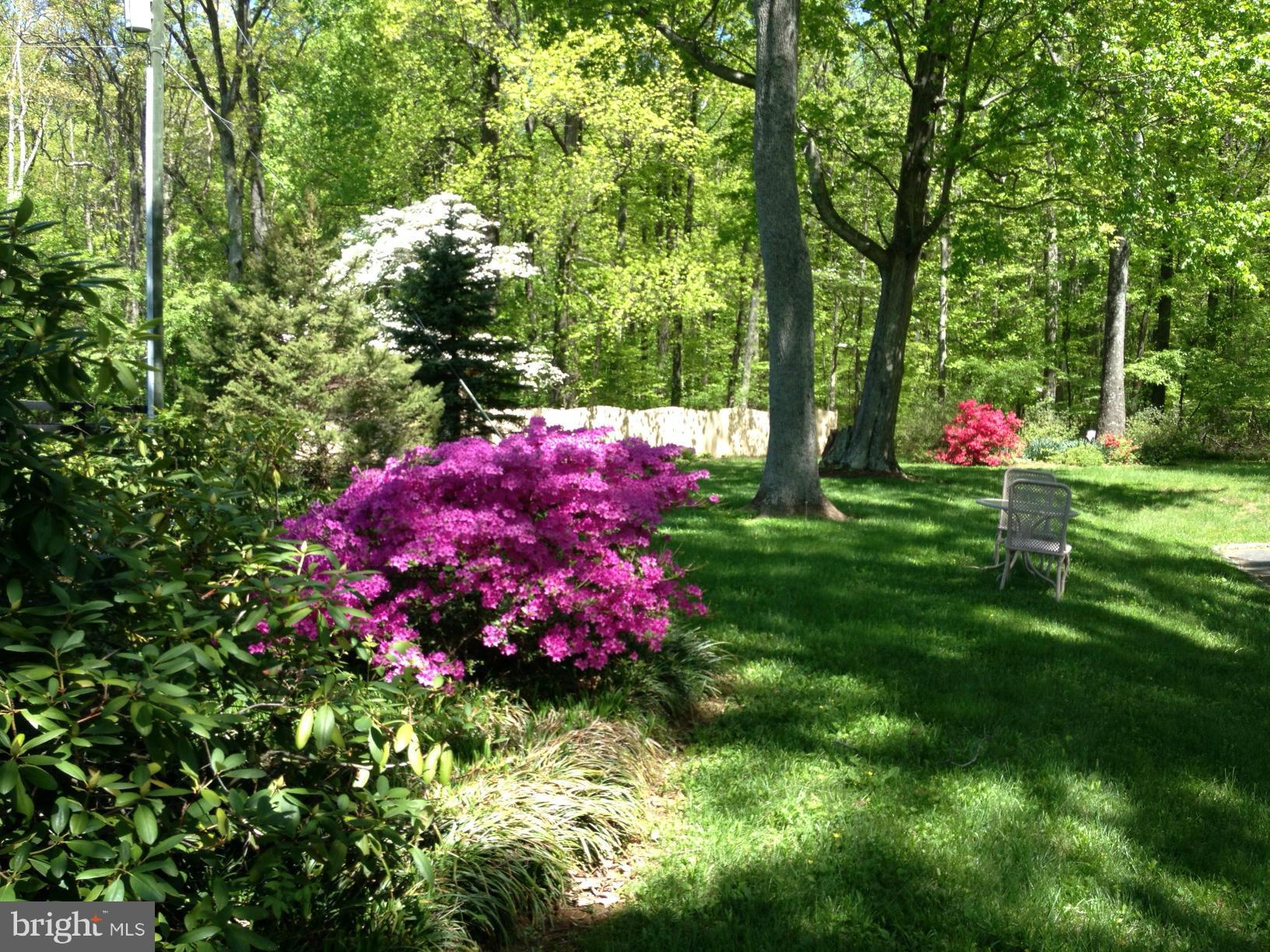 7139 Leeton Ridge Road Warrenton, VA 20186 - Photo 11 of 20 flowering shrubs