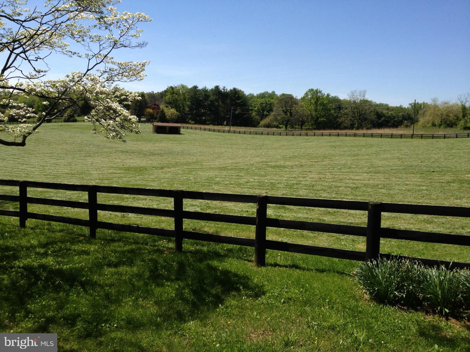 7139 Leeton Ridge Road Warrenton, VA 20186 - Photo 18 of 20 Pasture
