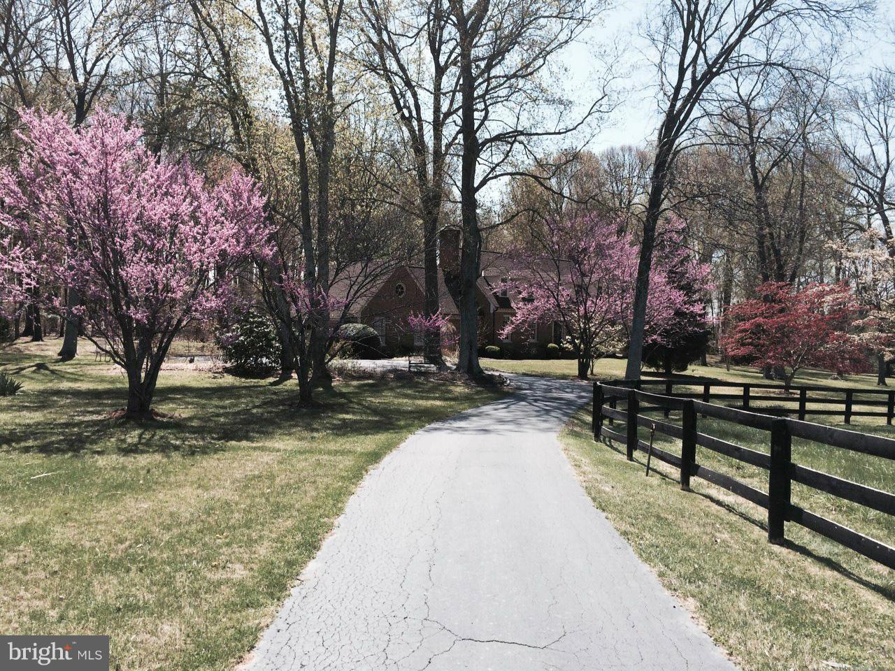 7139 Leeton Ridge Road Warrenton, VA 20186 - Photo 19 of 20 Entry drive