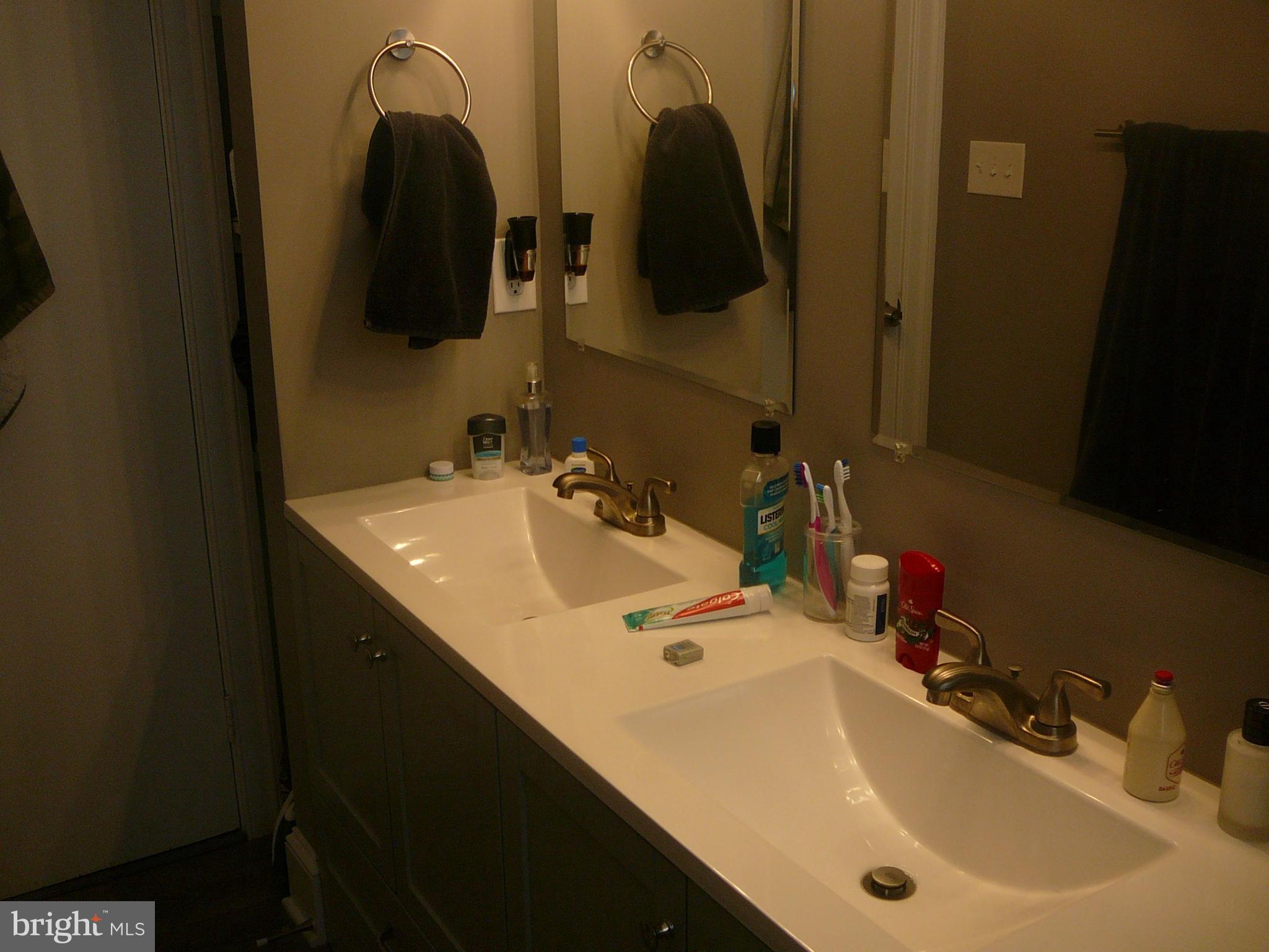 267 Deacon Road Fredericksburg, VA 22405 - Photo 13 of 24 Newly Renovated Bath w/Double Sink!