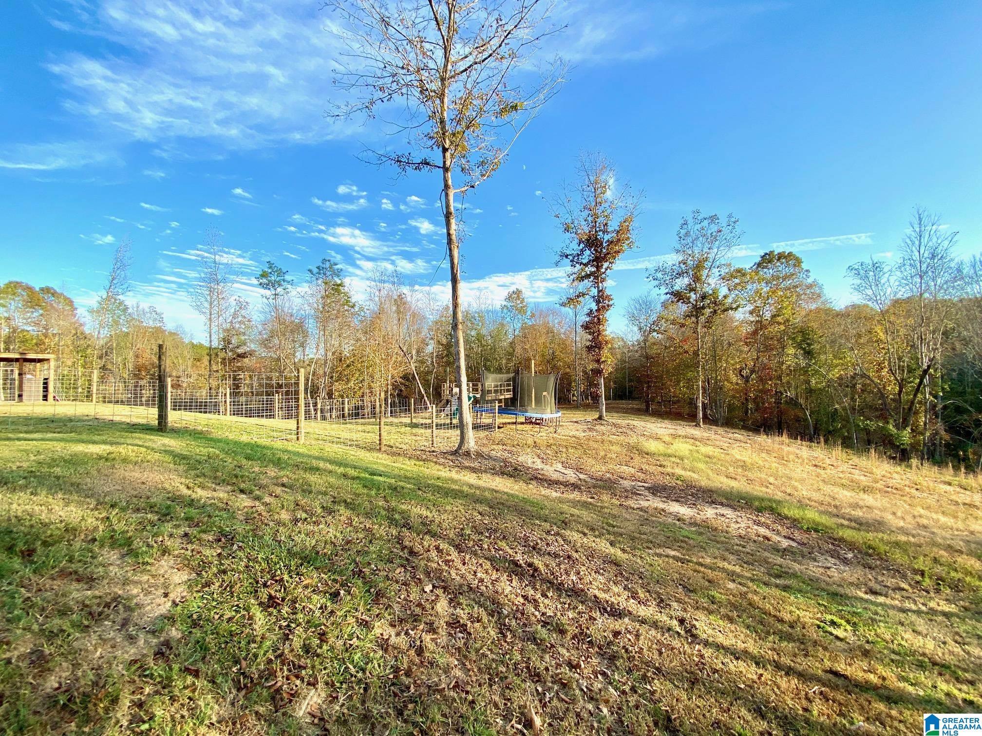 325 County Road 13 Heflin, AL 36264 - Photo 5 of 56