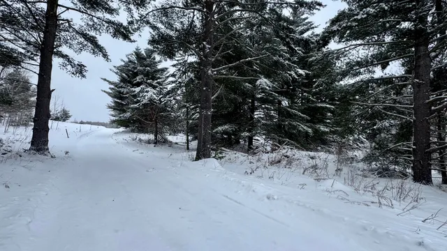 $244,900 | 21579 North 170th Avenue, Tustin, MI 49688