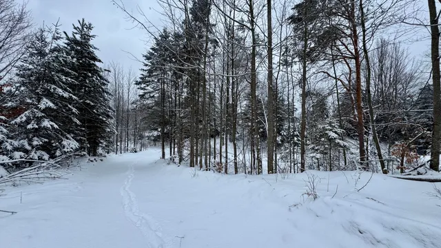 $244,900 | 21579 North 170th Avenue, Tustin, MI 49688