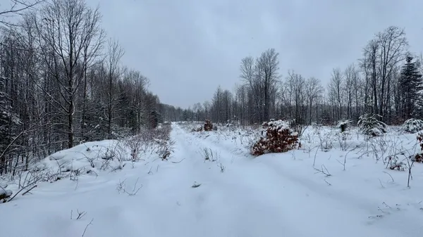 $235,000 | 21579 North 170th Avenue, Tustin, MI 49688