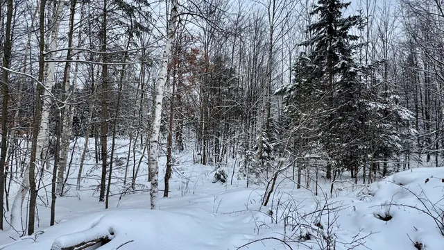 $244,900 | 21579 North 170th Avenue, Tustin, MI 49688